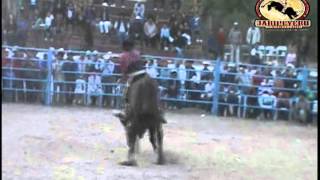 ¡¡PORRAZO Charro de Barreras vs El Silverado de Rancho San Miguel [upl. by Bashemeth]