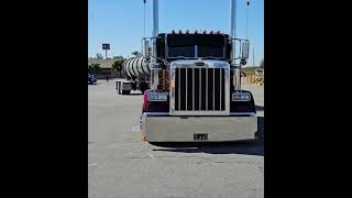 PETERBILT HEAD SHAKER trucking peterbilts trailer peterbilt379 [upl. by Rezzani]