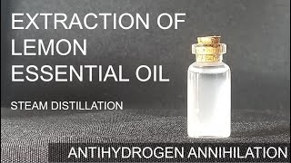 Extraction of Lemon Essential Oil  Steam Distillation [upl. by Shelden282]