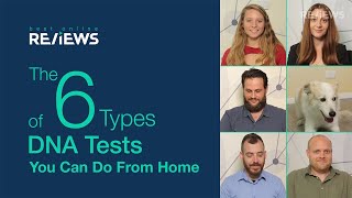 The 6 Types of DNA Tests You Can Do at Home [upl. by Sherie]