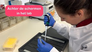 Achter de schermen in het lab met onderzoeker Nienke  Hersenonderzoeknl [upl. by Eshelman]