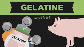 What is Gelatine Gelatin  Jello [upl. by Asyral]