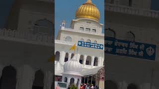 Babe nanak da dar uchaa waheguruji gurbani sikhism love sukoon wahegurublessings [upl. by Eceinehs298]