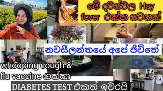 නවසීලන්තයේ අපේ ජිවිතේ pregnancy experience New Zealand life [upl. by Hwang]