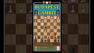 Budapest Gambit Fajarowicz Variation shorts chess [upl. by Denney]