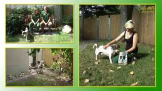 Hundevermittlung  AugustSeptember 2013 Tierheim Hannover TV [upl. by Heigl]