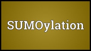 SUMOylation Meaning [upl. by Brey33]