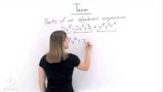 Whats a Term in a Polynomial [upl. by Renrut]