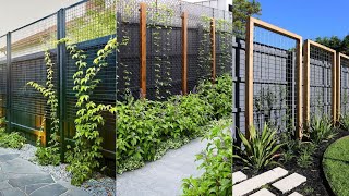 Cheap Privacy Fence Ideas For Backyard Trellis  cheap privacy fence ideas for backyard  Home decor [upl. by Dyke]