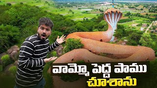 వామ్మో పెద్ద పాము కనిపించింది  Big Giant Snake 🐍 Temple Telangana  Nampally Gutta [upl. by Kimberlee]