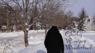 A typical Winter day in Winnipeg Manitoba Canada [upl. by Ellirpa]