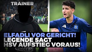 HSV ELFADLI vor GERICHT LEGENDE prophezeit AUFSTEIG   HSV NEWS [upl. by Eeniffar]