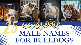 25 Strong Male Names for Bulldogs [upl. by Lyall]