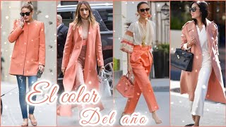 EL COLOR DE MODA DEL AÑO 2024 Combinaciones CON OTROS COLORES PANTONE [upl. by Olegnaid]