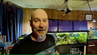 Sunday Fish N Hits with Dan [upl. by Scott]