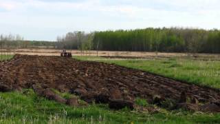 Farmall 806 with HX35 turbo plowing [upl. by Monjan]