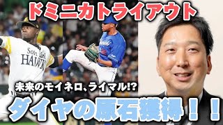 【ダイヤの原石発掘】阪神タイガースドミニカでのトライアウトでダイヤの原石獲得 未来のモイネロ､ライマルを獲得へ！ [upl. by Notgnilra]