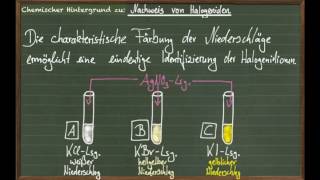 Halogenid Nachweis mit Silbernitrat [upl. by Ahseekat]