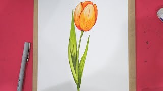 How To Draw Tulip Flower Step by Step in 8 Minutes [upl. by Noivad356]