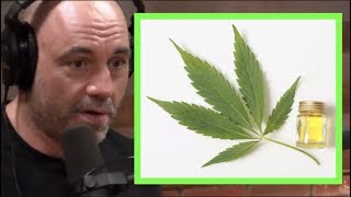 Joe Rogan  Effects of High Potency Marijuana CBD  JRE Pot Debate [upl. by Naesar]