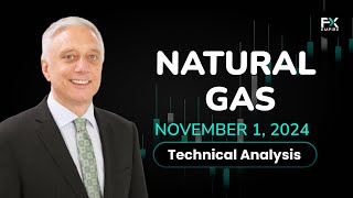 Natural Gas Price Forecast Today Technical Analysis November 01 Falls to Test Support [upl. by Hege]