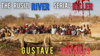 Killed 300 Humans  Rusizi River Serial Killer  GUSTAVE Crocodile [upl. by Icak252]