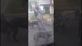 el mejor de los pasadores de🐕‍🦺perrosrecien ecuador parati recomendadosfypviralshortvideos [upl. by Arayk]