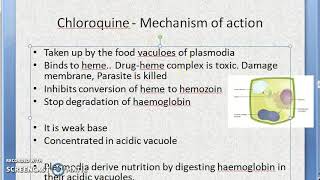 Pharmacology 899 b Chloroquine AntiMalarial Anti Malarial Loading dose drug malaria treatment [upl. by Divadnhoj438]