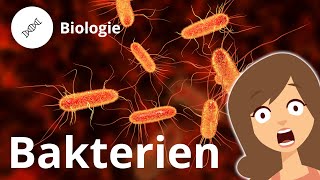 Aufbau einer Bakterienzelle – Biologie Duden Learnattack [upl. by Frankel267]