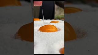 Campfire Cooking Lifehacks that will change your life forever A unique way to marinate egg yolks in [upl. by Jamaal]