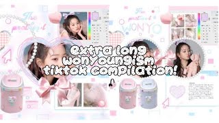 EXTRA long wonyoungism tiktok compilation ೃ༄ [upl. by Ineslta]