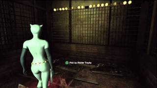 Steel Mill Catwoman Riddler Trophy Locations [upl. by Ynneh772]