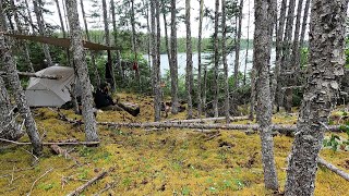 Solo Overnight Canoe Trip with My 2 Dogs  Pan Fried Cod on the Fire [upl. by Ennazus825]