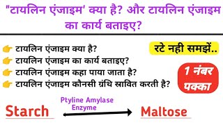 टायलिन एंजाइम क्या है  टायलिन एंजाइम का कार्य बताइए  Science Guru Ravi [upl. by Dove]