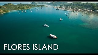 The Beauty of Flores Island Indonesia Aerial [upl. by Lorrac]