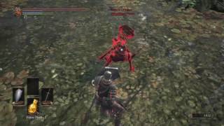 Dark Souls 3  Yellowfinger Heysel uses Chameleon [upl. by Ruenhcs832]