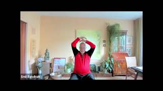 Cancer Qigong  Krebs Qigong  Fan Teng Gong [upl. by Arriec]