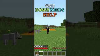 Minecraft But Scaring Pillagers for Doggy😘 shorts doggie minecraft [upl. by Chrystal122]