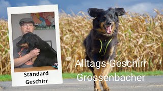 Das Grossenbacher AlltagsGeschirr [upl. by Alrzc956]