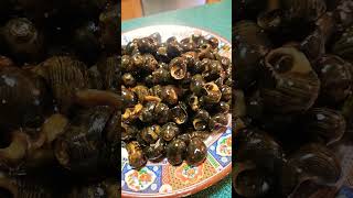 Cantonese Spicy Periwinkle Snails with Black Bean Sauce amp Garlic amp Hot Chili Peppers [upl. by Anaeli]