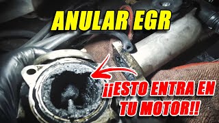 ¡ANULAR EGR y CAMBIAR VALVULA PCV de mi IBIZA TDI porque echa HUMO POR el TUPO DE ESCAPE [upl. by Raskind807]