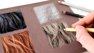 How to draw LION fur with pastel pencils  REAL TIME [upl. by Annuhsal82]