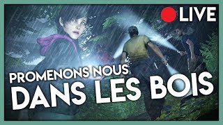 PROMENONS NOUS DANS LES BOIS   Dead By Daylight SURVIVANT [upl. by Rennat]