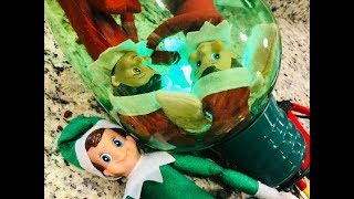 ELF FAMILY TRAPPED IN CHRISMAS BULB [upl. by Nrobyalc]