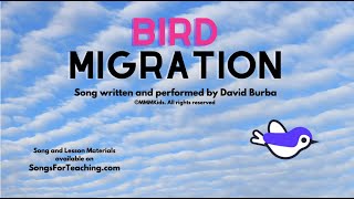 Bird Migration written and performed by Dave Burba for MMMKids [upl. by Frydman]