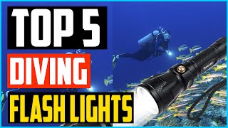 Top 5 Best Diving Flash Lights in 2024 – Reviews [upl. by Anohr]