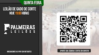 Leilão de gado para cria recria e engorda Palmeiras Leilões [upl. by Eeliah189]