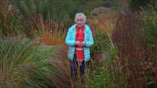 Great British Gardens  Marchants  Carol Klein [upl. by Pittel777]