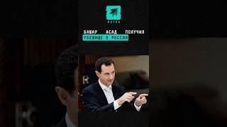 Башар Асад получил убежище в России новости поток сирия асад убежище россия революция побег [upl. by Adnawal]