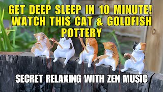 ENTER A DEEP SLEEP IN 10 MINUTES 💤 RELAX WITH THIS CAT amp GOLDFISH AQUATANK 🐱🐠 [upl. by Honna]